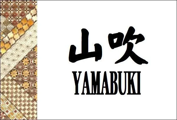 Ryokan Yamagaso Hotel Hakone